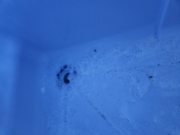 thumbe561c6f936aba5f0533170cb9390bebd_1759127238_6324.jpg